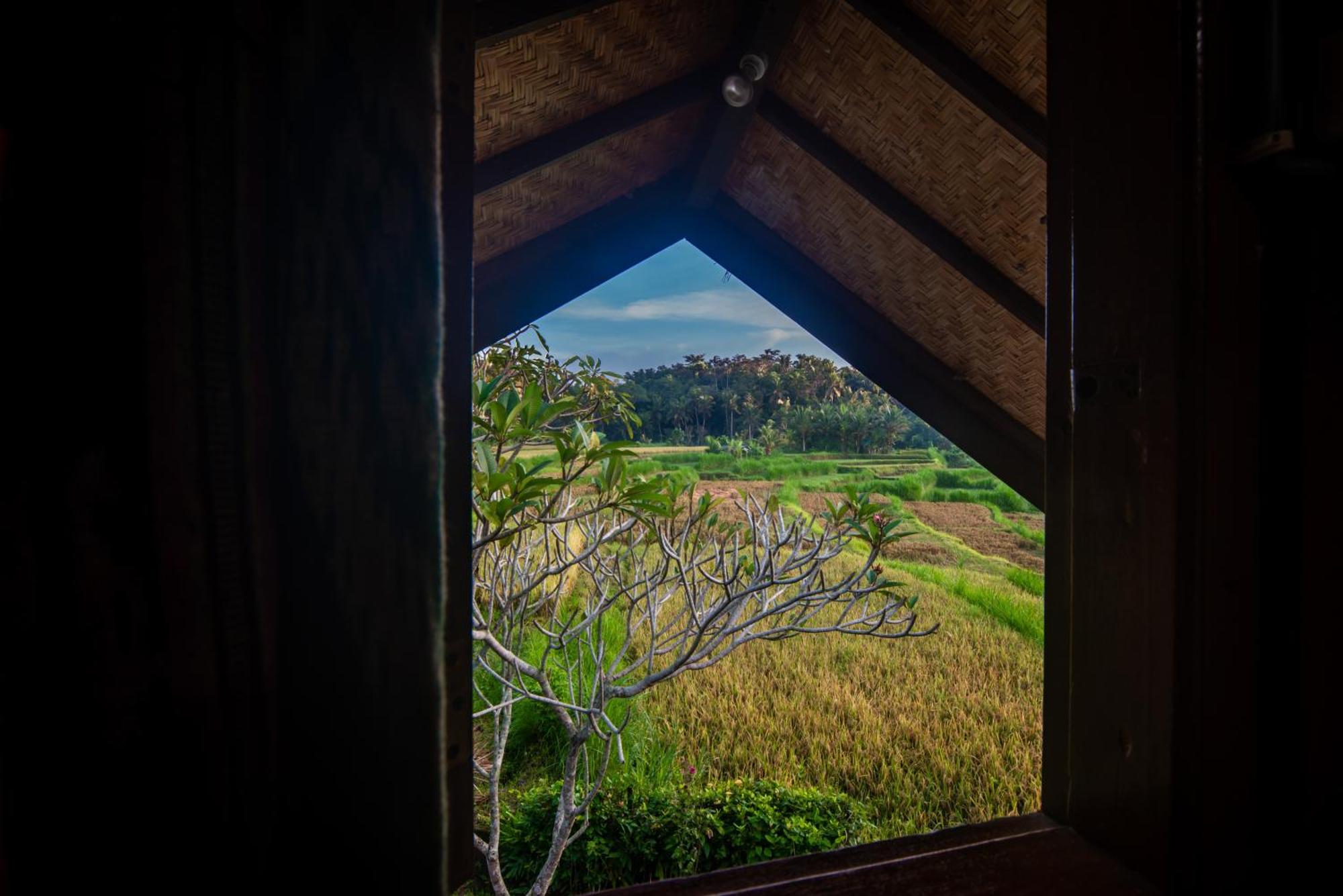 Dandan Bukit Villa *
