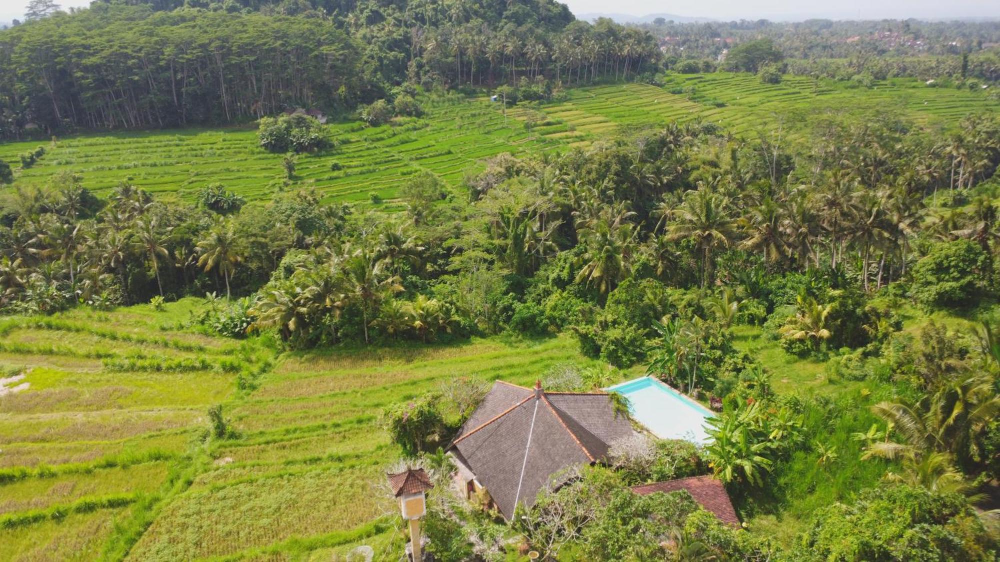 Dandan Bukit * Payangan